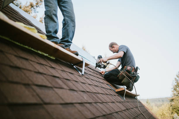Best Metal Roofing Contractor  in Fairmont, IL